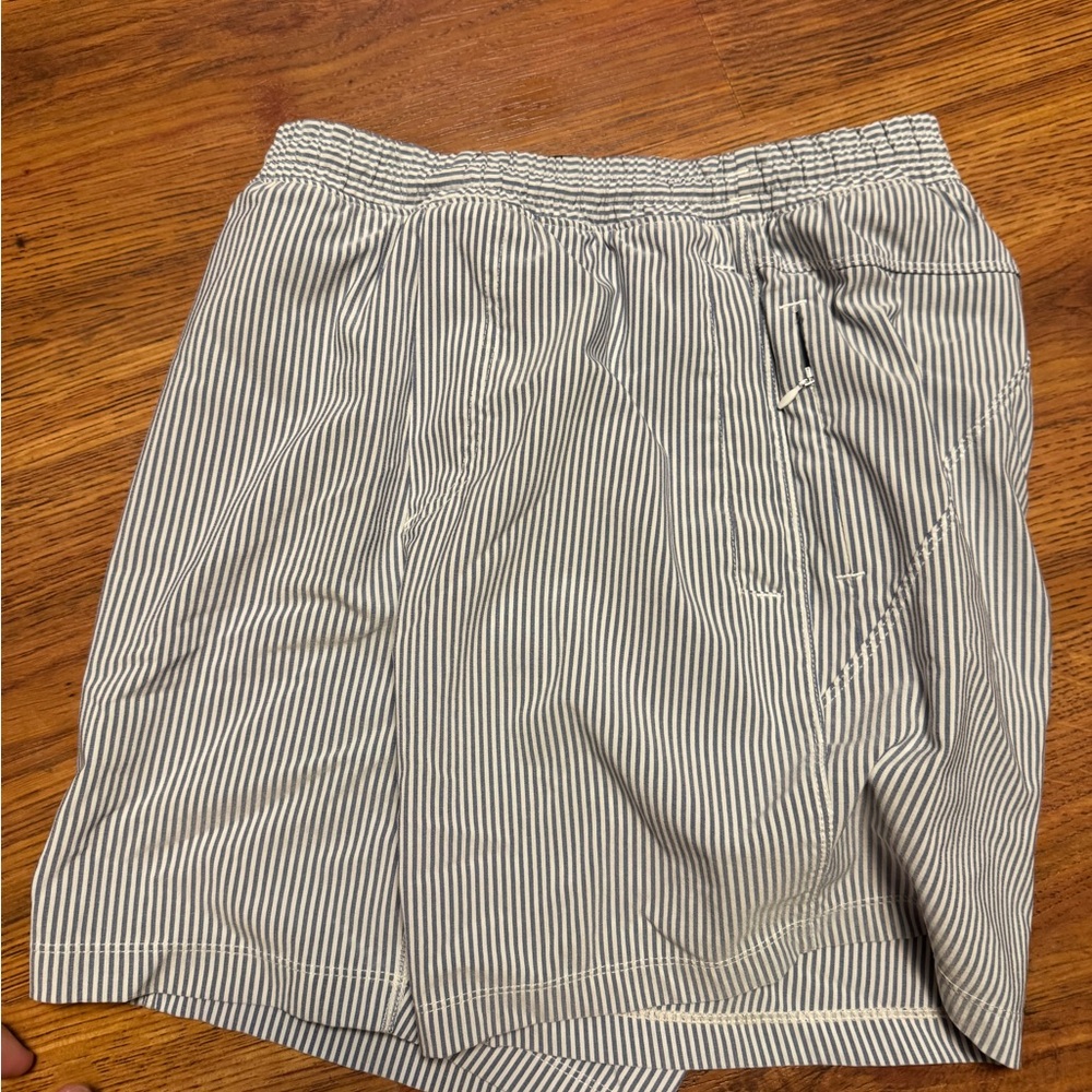 Birddogs Striped Shorts 6” Inseam and Liner